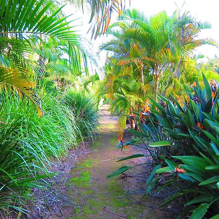 Byron Lakeside Holiday Apartments Byron Bay Exteriér fotografie